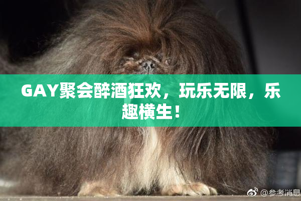 GAY聚会醉酒狂欢，玩乐无限，乐趣横生！