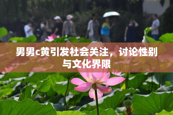 男男c黄引发社会关注，讨论性别与文化界限