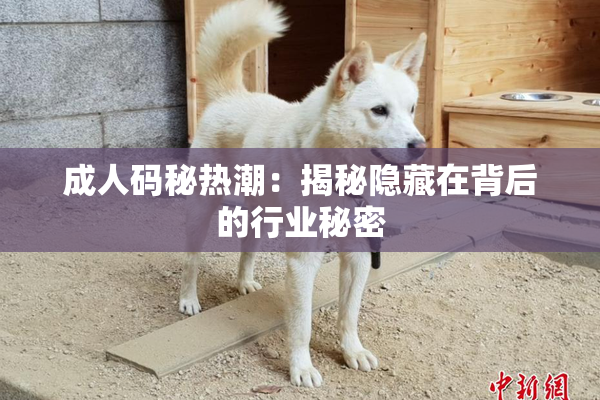 成人码秘热潮：揭秘隐藏在背后的行业秘密