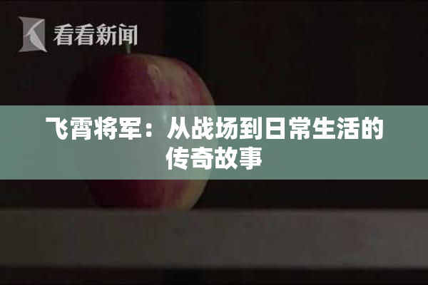 飞霄将军：从战场到日常生活的传奇故事