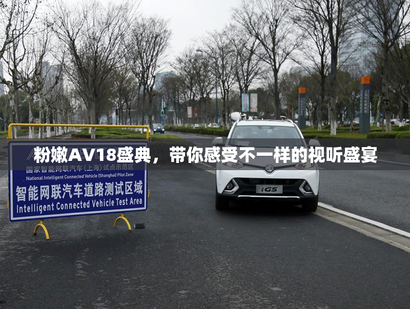 粉嫩AV18盛典，带你感受不一样的视听盛宴