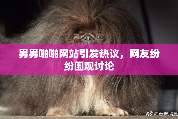 男男啪啪网站引发热议，网友纷纷围观讨论