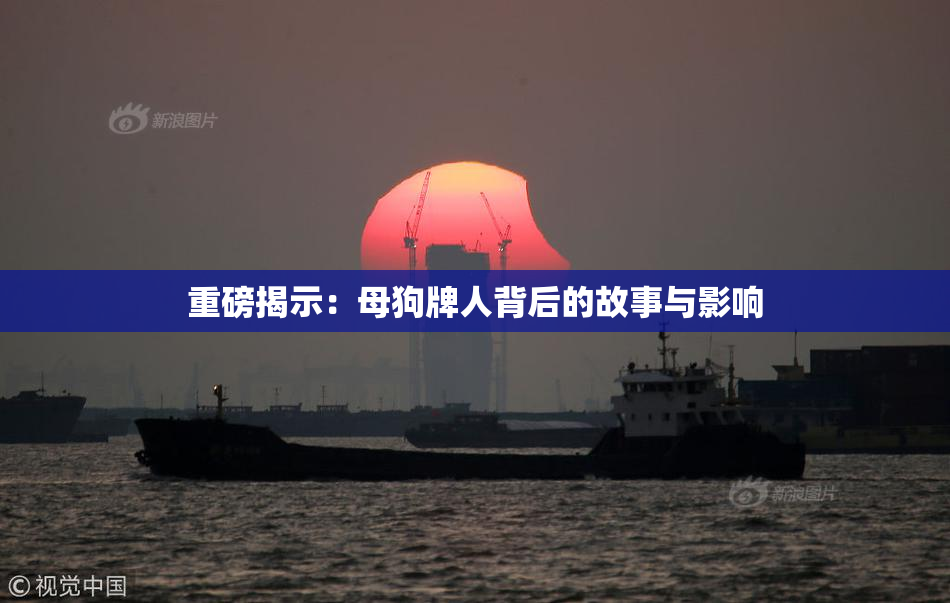重磅揭示：母狗牌人背后的故事与影响