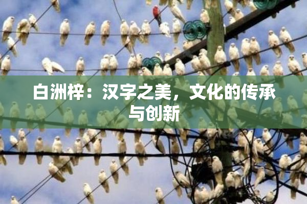 白洲梓：汉字之美，文化的传承与创新