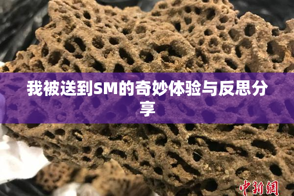 我被送到SM的奇妙体验与反思分享