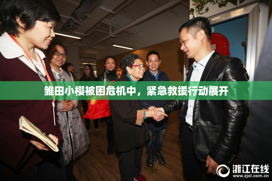 雏田小樱被困危机中，紧急救援行动展开