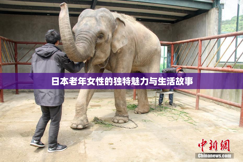 日本老年女性的独特魅力与生活故事