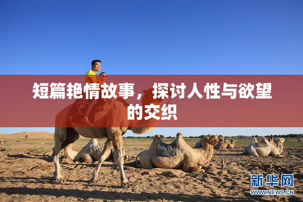 短篇艳情故事，探讨人性与欲望的交织