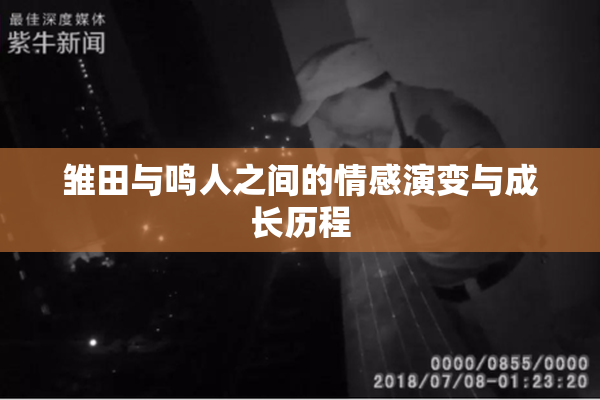 雏田与鸣人之间的情感演变与成长历程