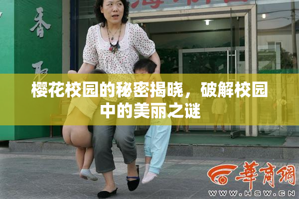 樱花校园的秘密揭晓，破解校园中的美丽之谜