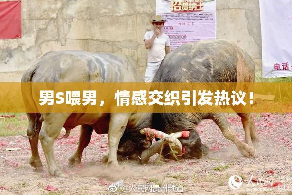 男S喂男，情感交织引发热议！