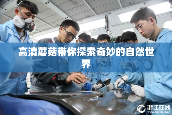 高清蘑菇带你探索奇妙的自然世界