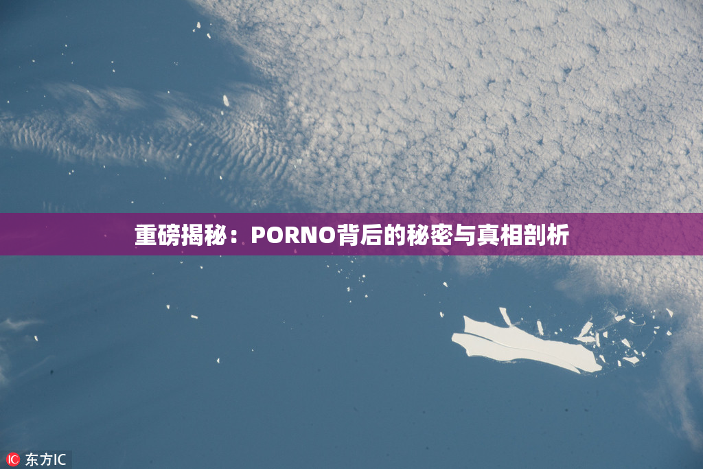 重磅揭秘：PORNO背后的秘密与真相剖析