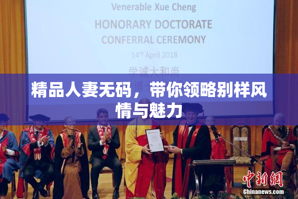精品人妻无码，带你领略别样风情与魅力