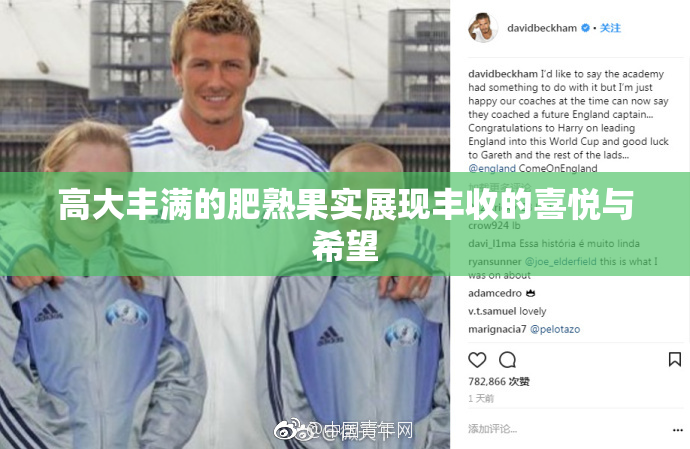 高大丰满的肥熟果实展现丰收的喜悦与希望