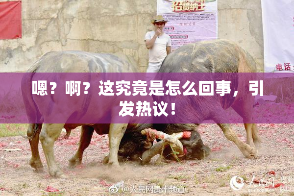嗯？啊？这究竟是怎么回事，引发热议！