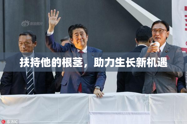 扶持他的根茎，助力生长新机遇