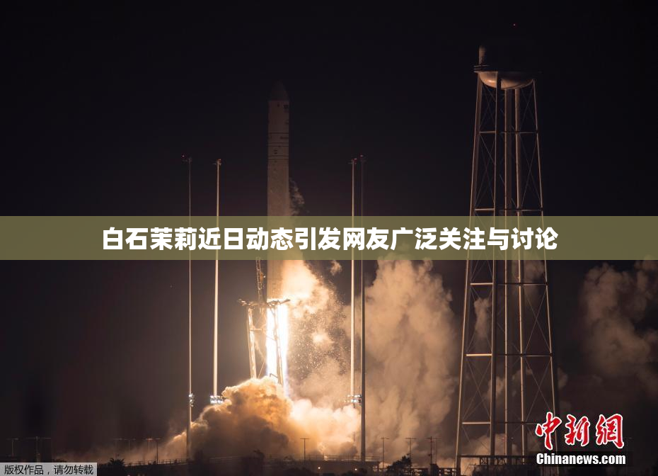 白石茉莉近日动态引发网友广泛关注与讨论