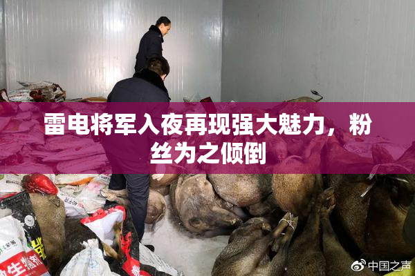 雷电将军入夜再现强大魅力，粉丝为之倾倒
