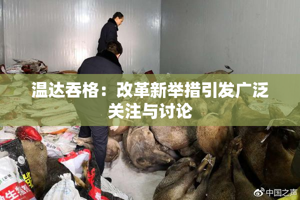 温达吞格：改革新举措引发广泛关注与讨论
