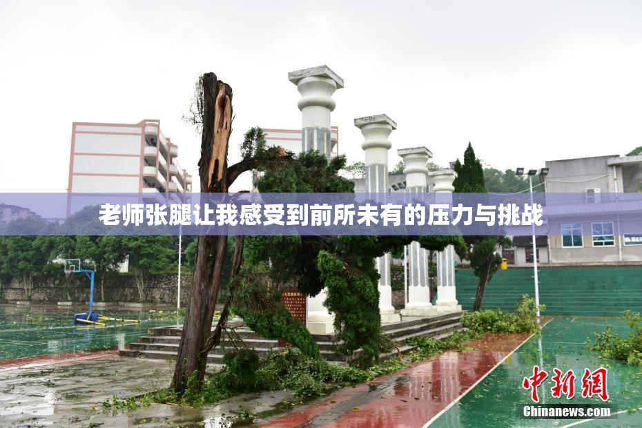 老师张腿让我感受到前所未有的压力与挑战