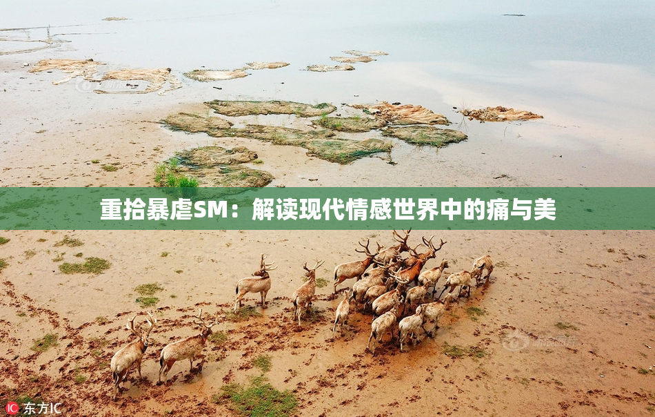 重拾暴虐SM：解读现代情感世界中的痛与美