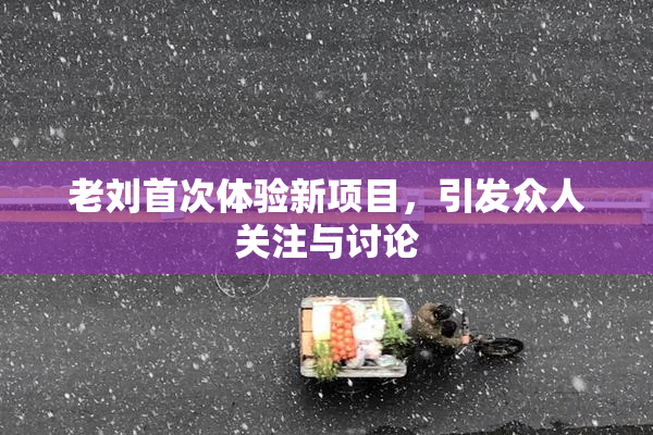 老刘首次体验新项目，引发众人关注与讨论
