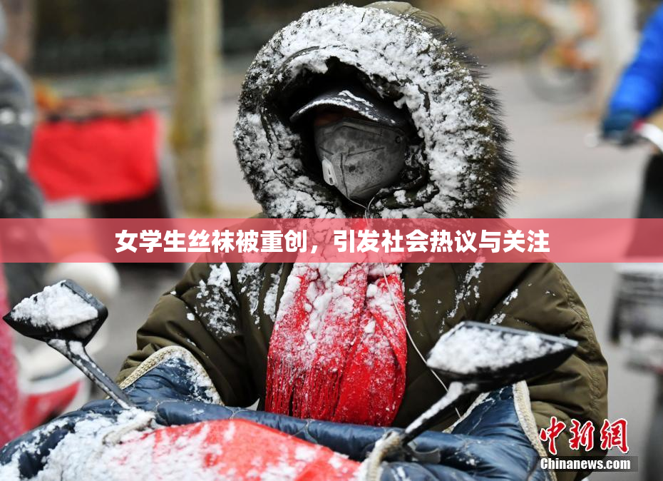 女学生丝袜被重创，引发社会热议与关注