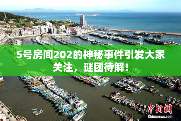 5号房间202的神秘事件引发大家关注，谜团待解！