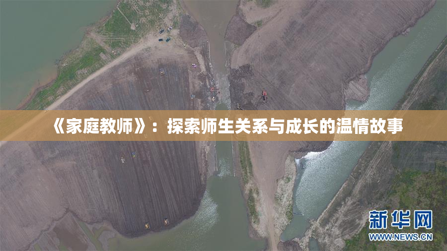 《家庭教师》：探索师生关系与成长的温情故事