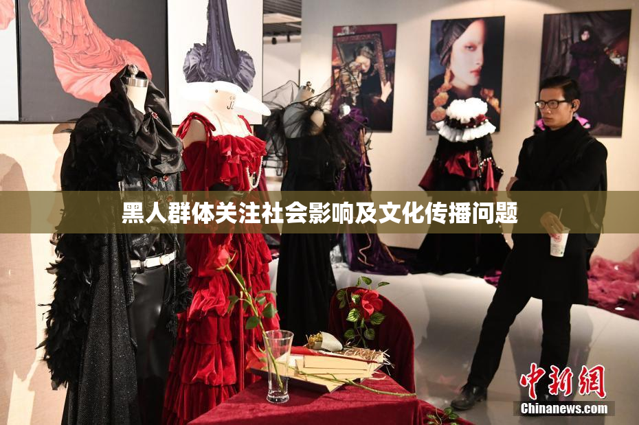 黑人群体关注社会影响及文化传播问题