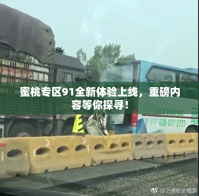蜜桃专区91全新体验上线，重磅内容等你探寻！