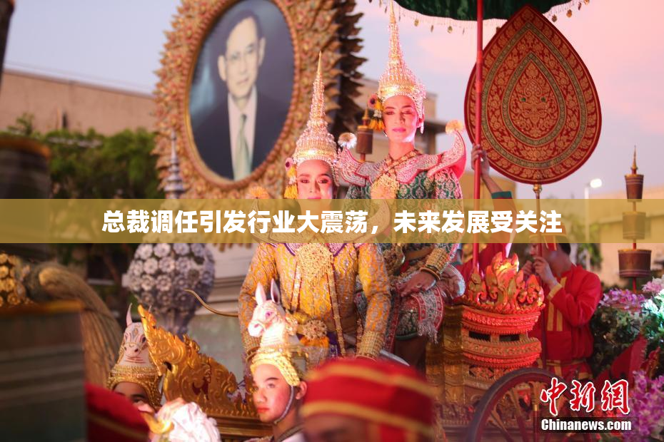 总裁调任引发行业大震荡，未来发展受关注