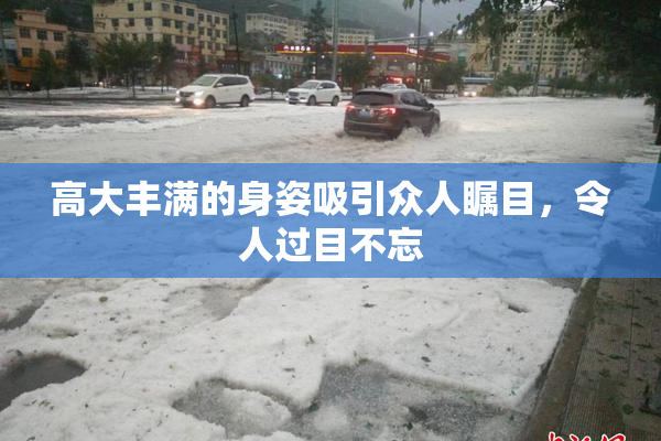 高大丰满的身姿吸引众人瞩目，令人过目不忘