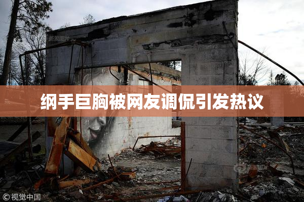 纲手巨胸被网友调侃引发热议