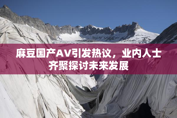 麻豆国产AV引发热议，业内人士齐聚探讨未来发展