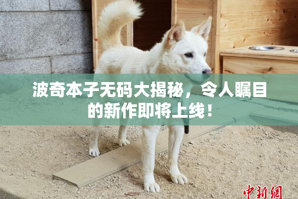 波奇本子无码大揭秘，令人瞩目的新作即将上线！
