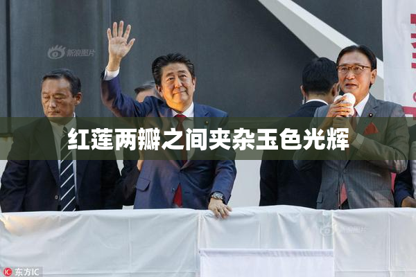红莲两瓣之间夹杂玉色光辉