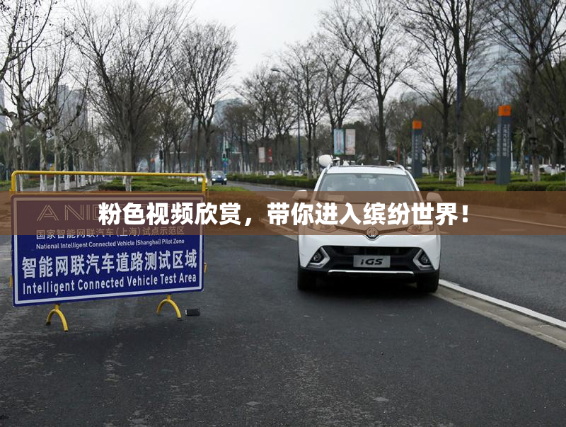 粉色视频欣赏，带你进入缤纷世界！