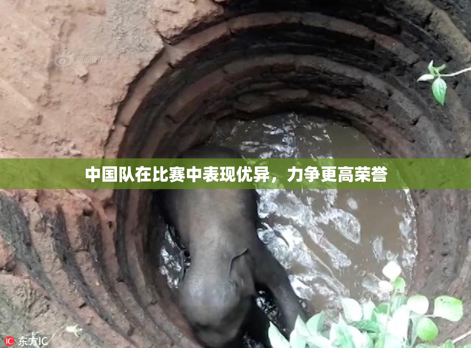 中国队在比赛中表现优异，力争更高荣誉