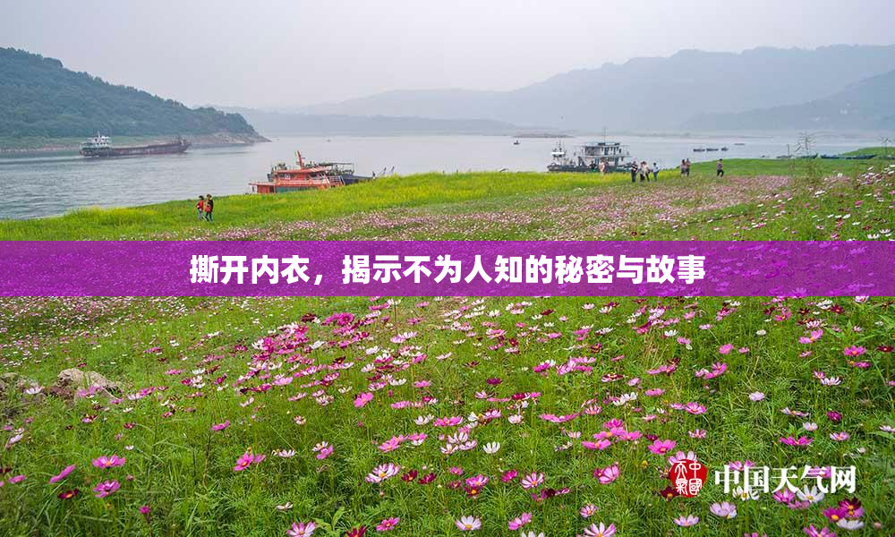 撕开内衣，揭示不为人知的秘密与故事