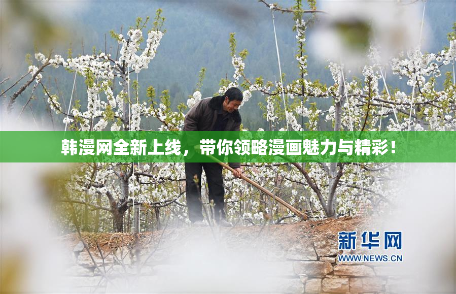 韩漫网全新上线，带你领略漫画魅力与精彩！