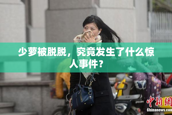 少萝被脱脱，究竟发生了什么惊人事件？
