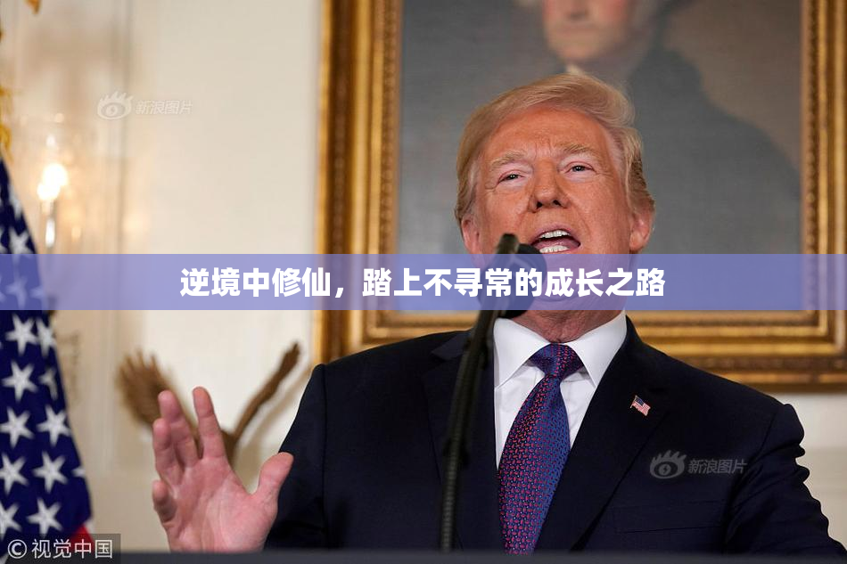 逆境中修仙，踏上不寻常的成长之路