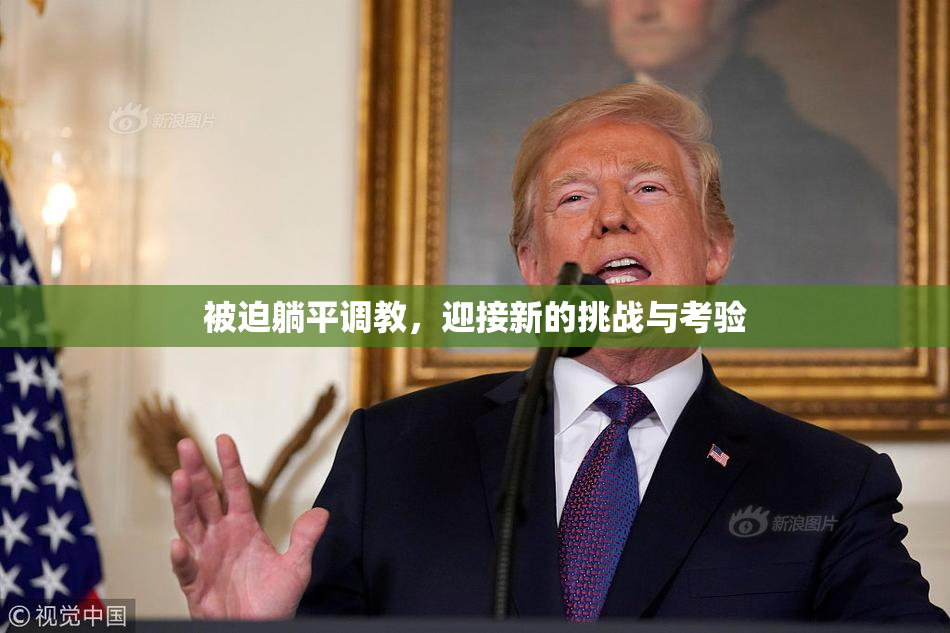 被迫躺平调教，迎接新的挑战与考验