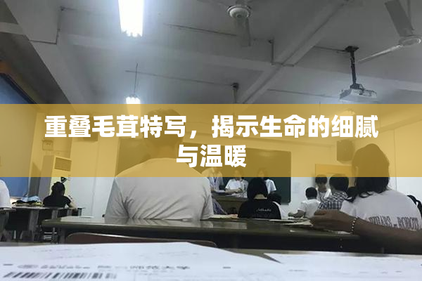 重叠毛茸特写，揭示生命的细腻与温暖