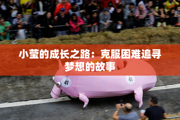 小莹的成长之路：克服困难追寻梦想的故事