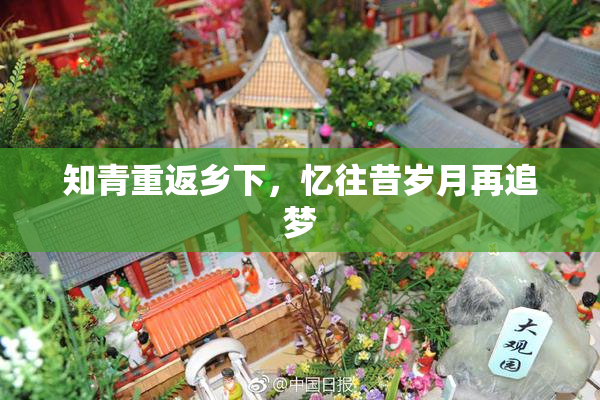 知青重返乡下，忆往昔岁月再追梦