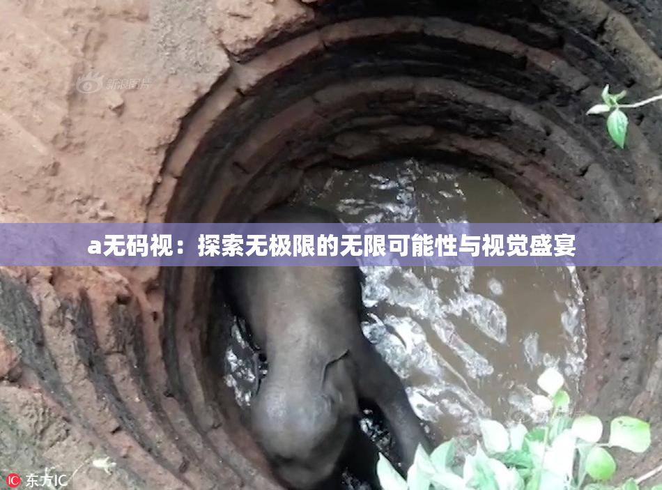 a无码视：探索无极限的无限可能性与视觉盛宴