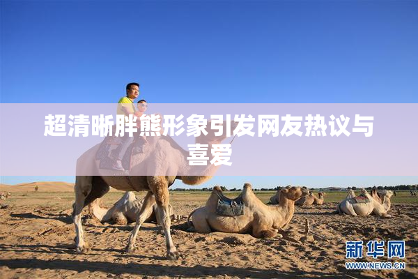 超清晰胖熊形象引发网友热议与喜爱